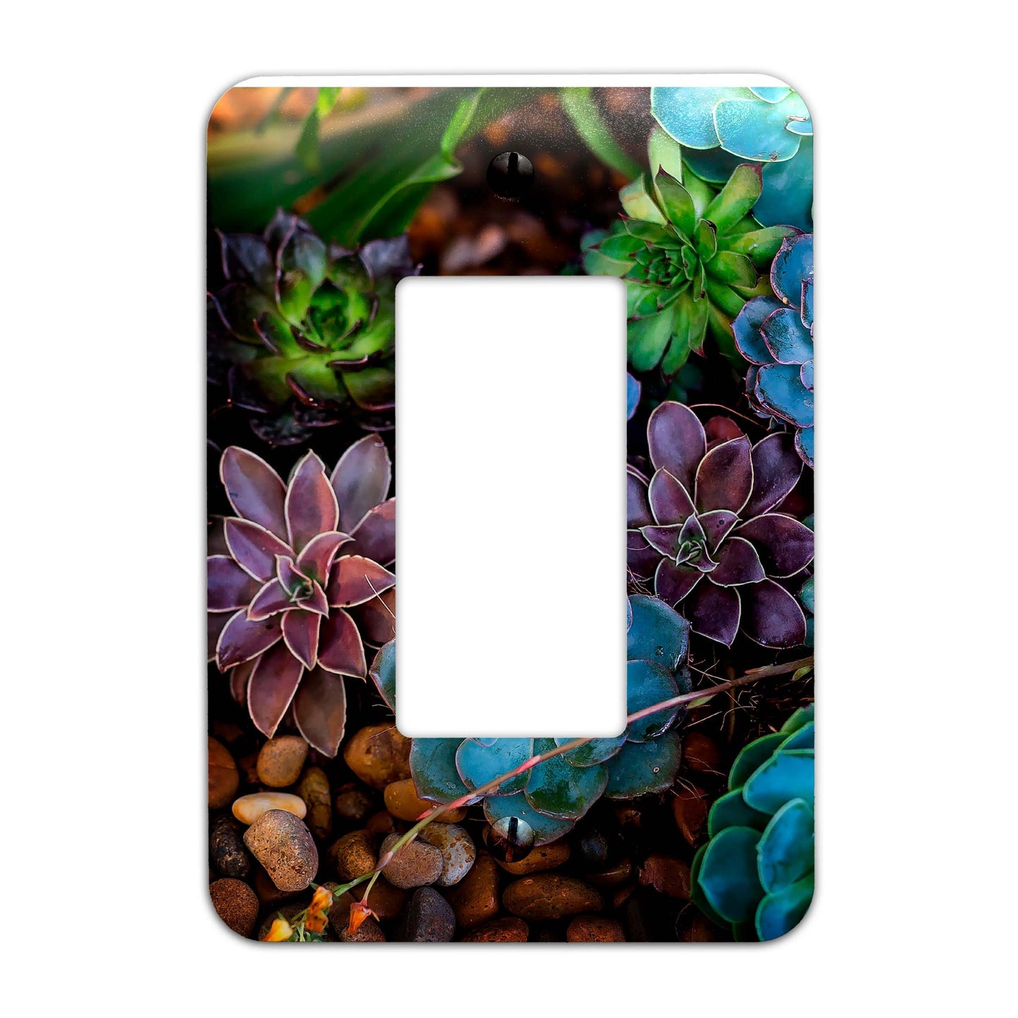 Metal Light Switch Plate Succulents Pattern Decorative Switchplate Cover, Other Sizes Available