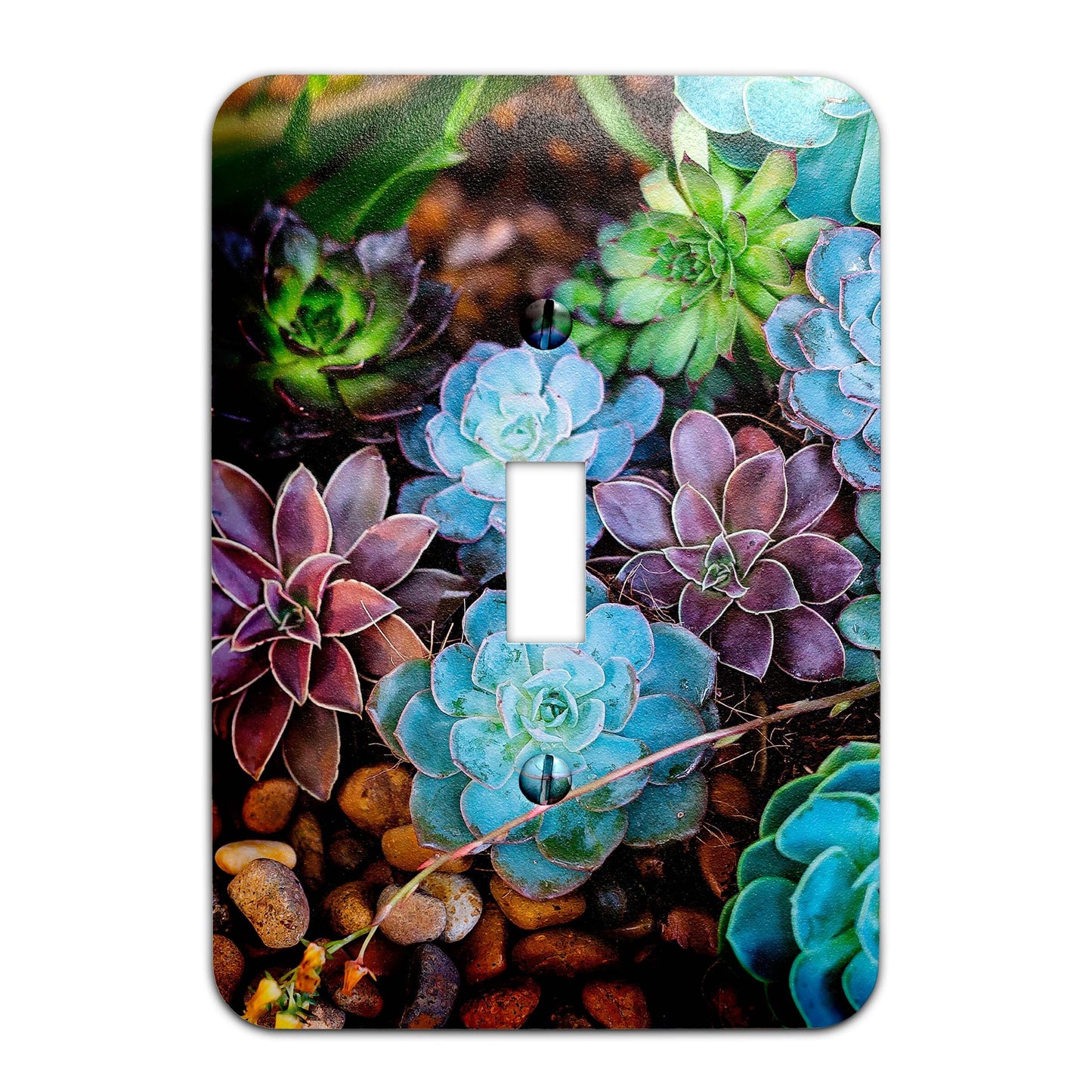 Metal Light Switch Plate Succulents Pattern Decorative Switchplate Cover, Other Sizes Available